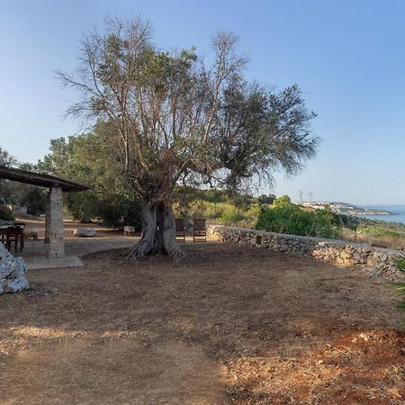 Levante E Libeccio Villette Vista Mare - Marina Di อันดราโน ภายนอก รูปภาพ