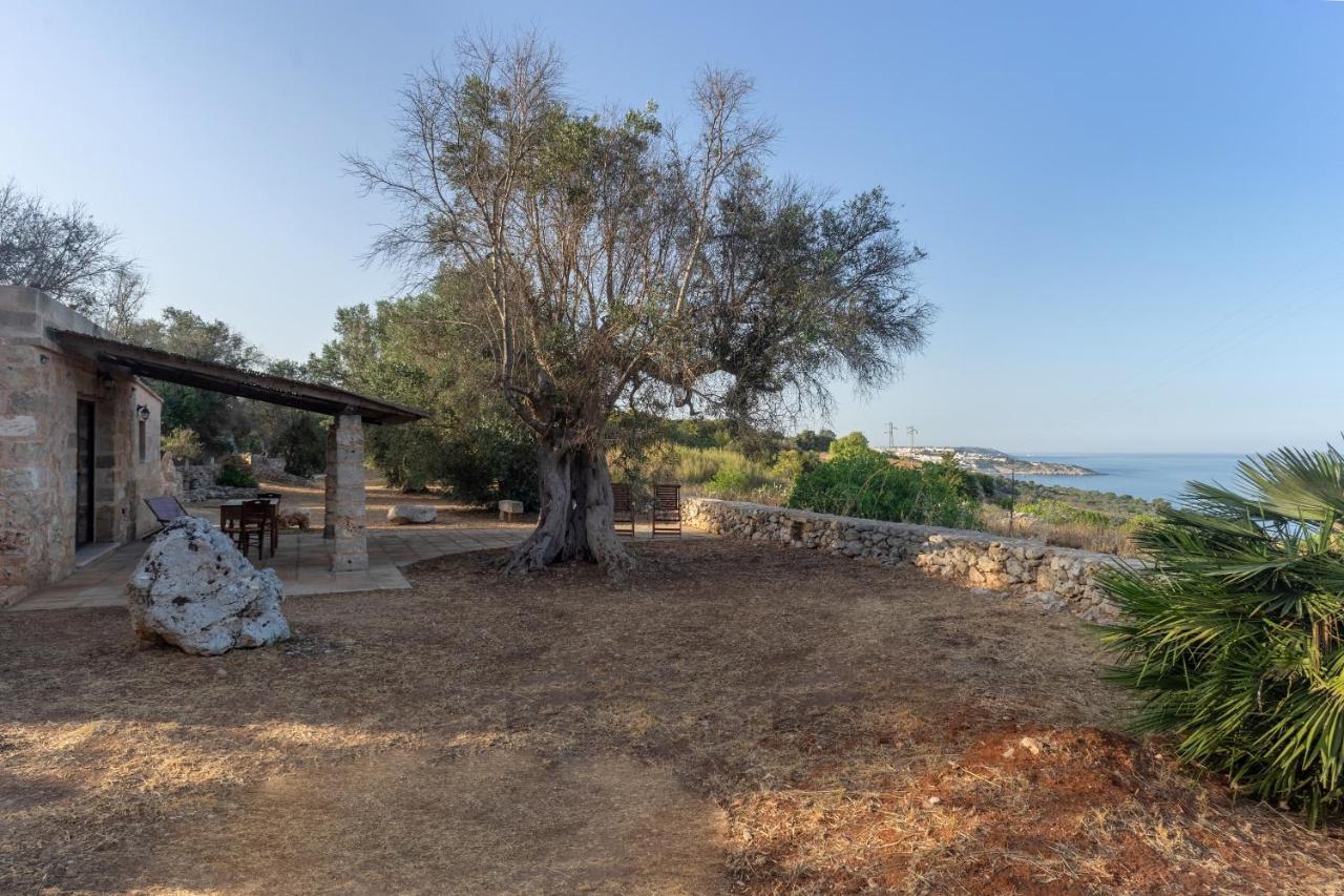 Levante E Libeccio Villette Vista Mare - Marina Di อันดราโน ภายนอก รูปภาพ